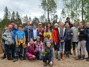 Laurenču sākumskolas skolēni stāda mežu Allažu pagastā