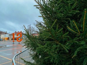 Pirmajā adventē iedegs Siguldas centrālo Ziemassvētku egli