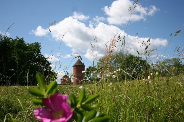 Aicina uz Turaidu baudīt vasaras plaukumu