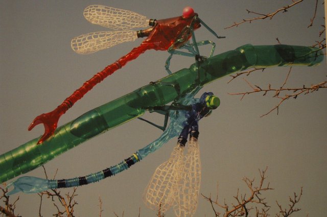 Oktobrī Dabas muzejā izstāde par PET pudeļu pārvērtībām un konkurss skolēniem