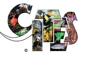 Iespēja piedalīties radošo darbu konkursā