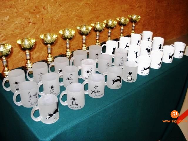 Noritējis Latvijas Apvienotās badmintona līgas 1.posms