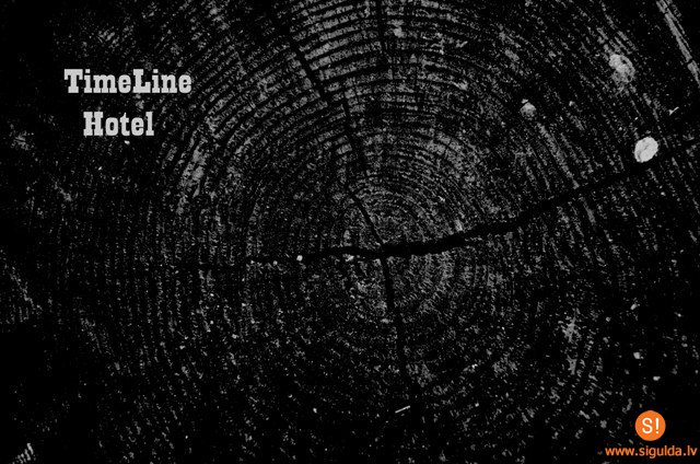 Izstādes Timeline Hotel  ietvaros ceturtdien notiks Dzejas slama un Spoken Word vakars