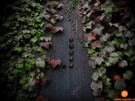 Siguldā skatāma fotogrāfa Ulda Balgas personālizstāde „Kniede”