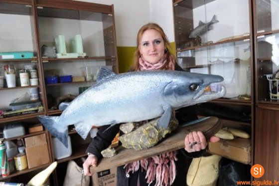 Siguldiete guvusi iespēju apgūt taksidermiju ASV