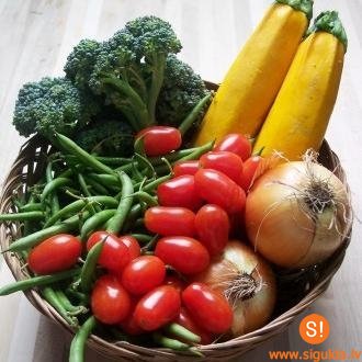 Aicina pieteikties mājražotājus Lauku labumu tirdziņam