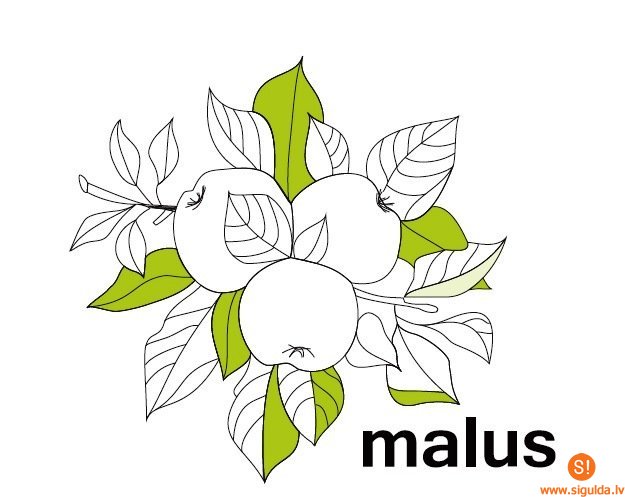 Iespēja apmeklēt brīvo diskusiju grupu