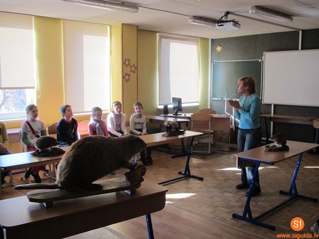 Dabas muzeja nodarbības Siguldas 1.pamatskolā