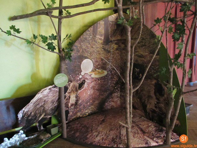 Izstāde „Manas mitrās mājas” Siguldas 1.pamatskolā