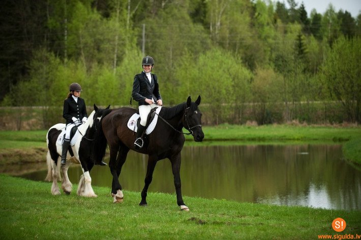 Bezmaksas ieeja ar Siguldas ID karti uz Vislatvijas zirgu dienām