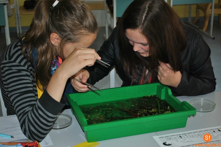 Mācīties vasarā var būt interesanti un motivējoši