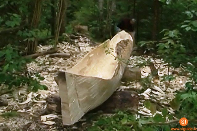 Siguldā tapusi vienkoču laiva (VIDEO)