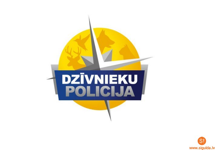 Vispasaules dzīvnieku aizsardzības dienā aicina padomāt par dzīvnieku drošību