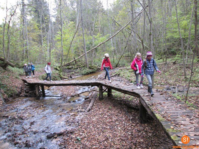 Pārgājienu diena Siguldas 1.pamatskolā