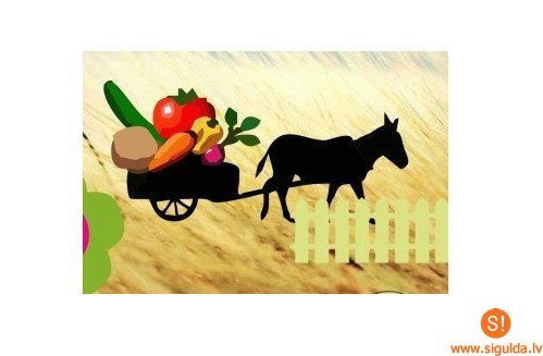 Siguldiešiem labi rezultāti starptautiskā mākslas konkursā