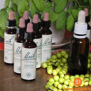 Sarunu cikls „Atklājot nezināmo” Jūdažu Sabiedriskajā centrā