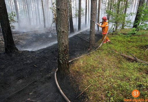 Valsts meža dienests aicina ievērot ugunsdrošību mežos