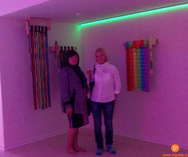 Biedrība „Cerības spārni” iepazīstas ar Dānijas sociālā atbalsta sistēmu