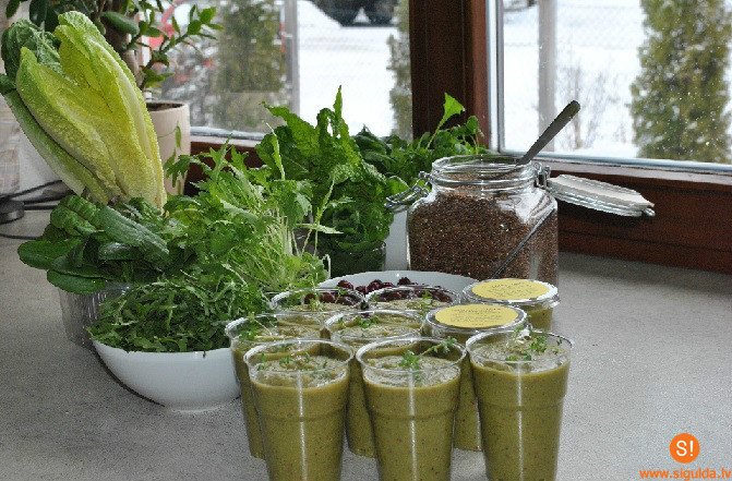 Krimuldas muiža aicina uz tikšanos ar Ligiju Zariņu