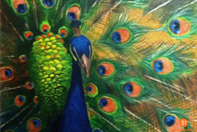 Aicina uz Dizaina un mākslas studijas audzēkņu darbu izstādi