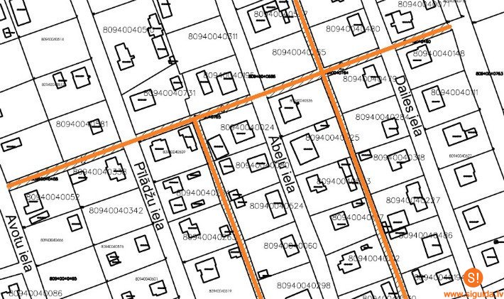 Pašvaldība aicina Peltes ciema iedzīvotājus izteikt viedokli!