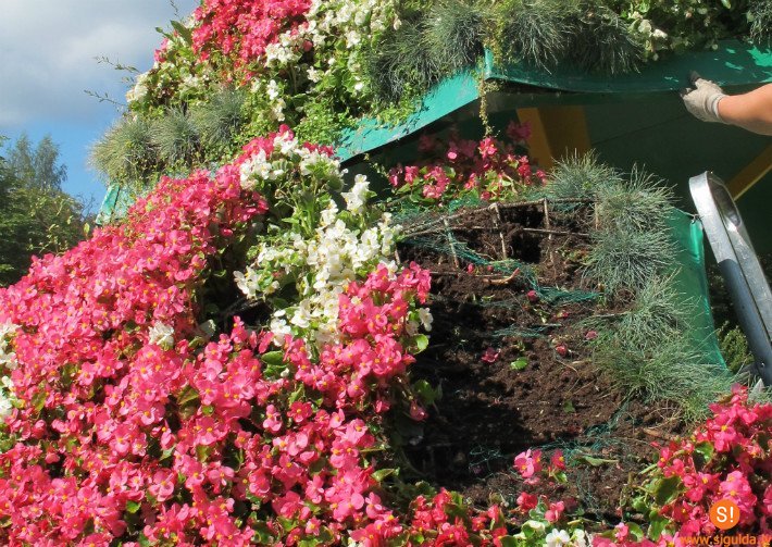 Izpostīti Spieķu parka stādījumi