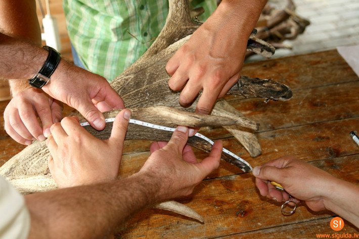 Morē noskaidroti izcilāko Latvijas un pasaules briežu ragu īpašnieki