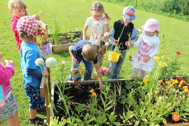 Ekoskolas aktivitātes vasarā bērnudārzā „ Ieviņa”