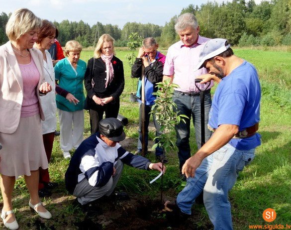 Allažos top augļu un ogu dārzs