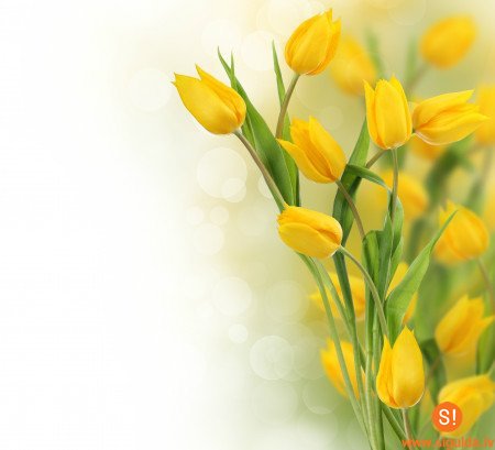 Sieviešu dienas koncerts pagasta Kultūras namā