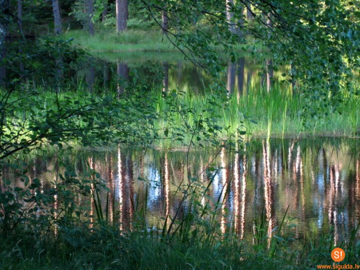 Vīru kora koncerts Allažu pagasta Tautas namā