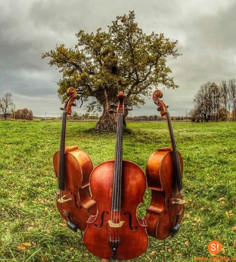 Siguldas novada Kultūras centrā uzstāsies čellu trio „Melo M”