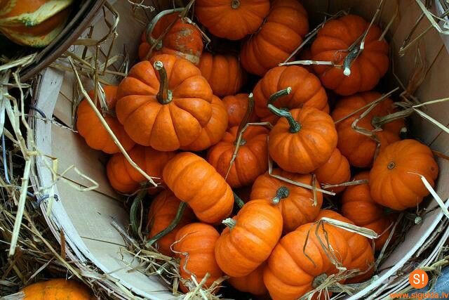 Aicina pieteikties dalībai tirdziņā „Siguldas Monmartrā”