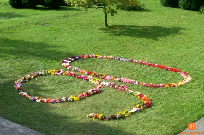 Sācies Allažu pamatskolas 90.jubilejas mācību gads