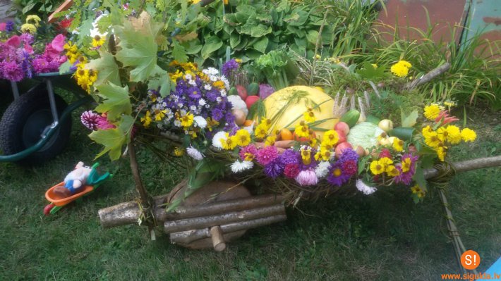 Rudens velšu izstāde „Esmu savāds” Allažu pamatskolā