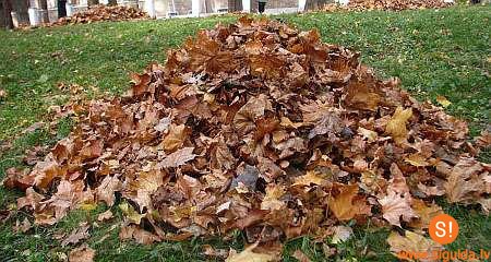 Iedzīvotājiem piedāvā iespēju ērti atbrīvoties no koku lapām, augļiem un dārzeņiem