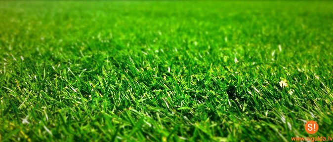 Par bioloģiski vērtīgo zālāju atjaunošanas iespējām