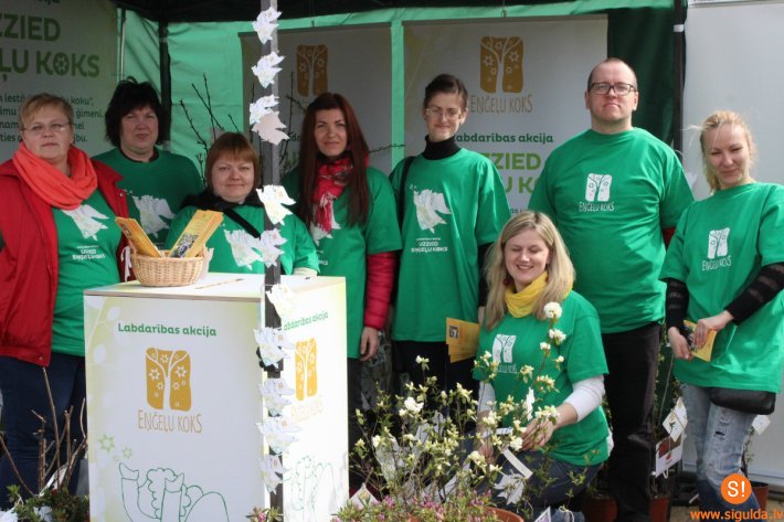 Ar labdarības stendu Stādu parādē sāks ziedēt “Eņģeļu koks”