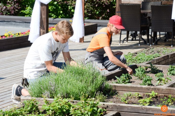 Sācies Siguldas novada skolēnu vasaras nodarbinātības projekts
