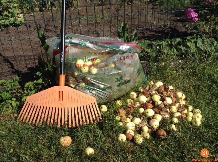 „Jumis” piedāvā bez maksas atbrīvoties no bojātiem augļiem un dārzeņiem