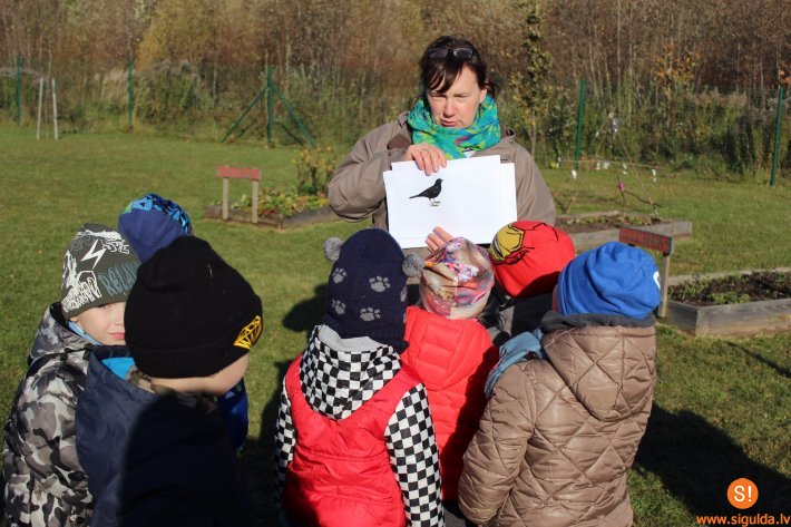 Bērnudārzā „Ieviņa” turpinās vides nodarbības