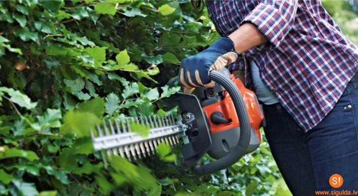 Privātīpašniekus aicina sakopt savus īpašumus