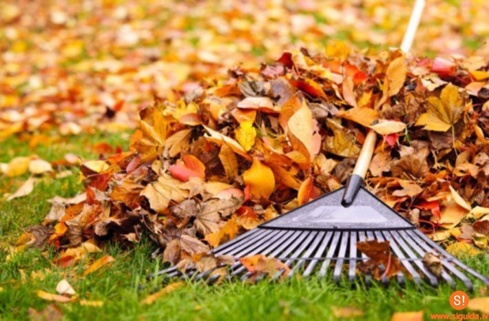 Aicina sakopt īpašumus