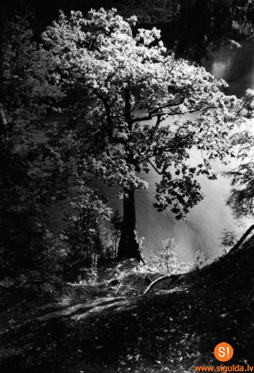 Siguldas pagasta Kultūras namā apskatāma foto izstāde „Siguldas ainava”