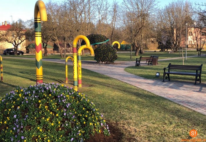 Siguldas apstādījumos uzsākta 10 000 atraitnīšu stādīšana