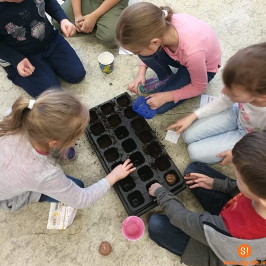 Siguldas pilsētas vidusskolā noslēdzies „eTwinning” projekts