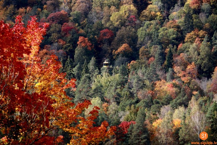 Šonedēļ Siguldas novadā: „Gada balva izglītībā”, „Siguldas kalnu maratons” un citi pasākumi