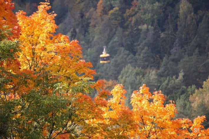 Šonedēļ Siguldas novadā: Siguldas pusmaratons, Sonāšu vakars un citi pasākumi