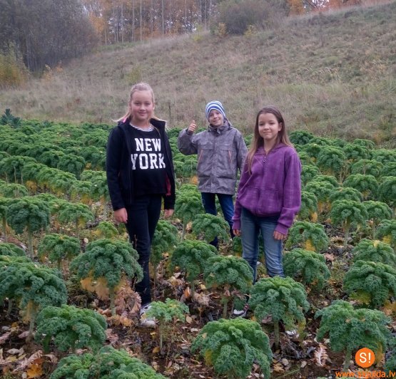 Siguldas pilsētas vidusskolas skolēni apmeklē ražotni „Latnature”