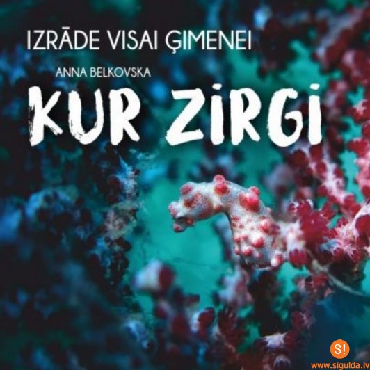 Notiks Liepājas Leļļu teātra izrāde visai ģimenei „Kur zirgi”